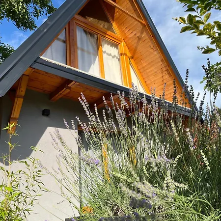 Holiday home Petrovaradin *